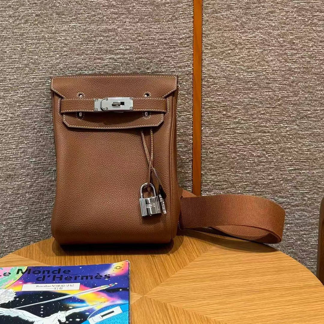 Hermès Hac a Dos PM Backpack Handmade In Togo Calfskin Leather Silver Hardware Ck37 Gold - Image 9