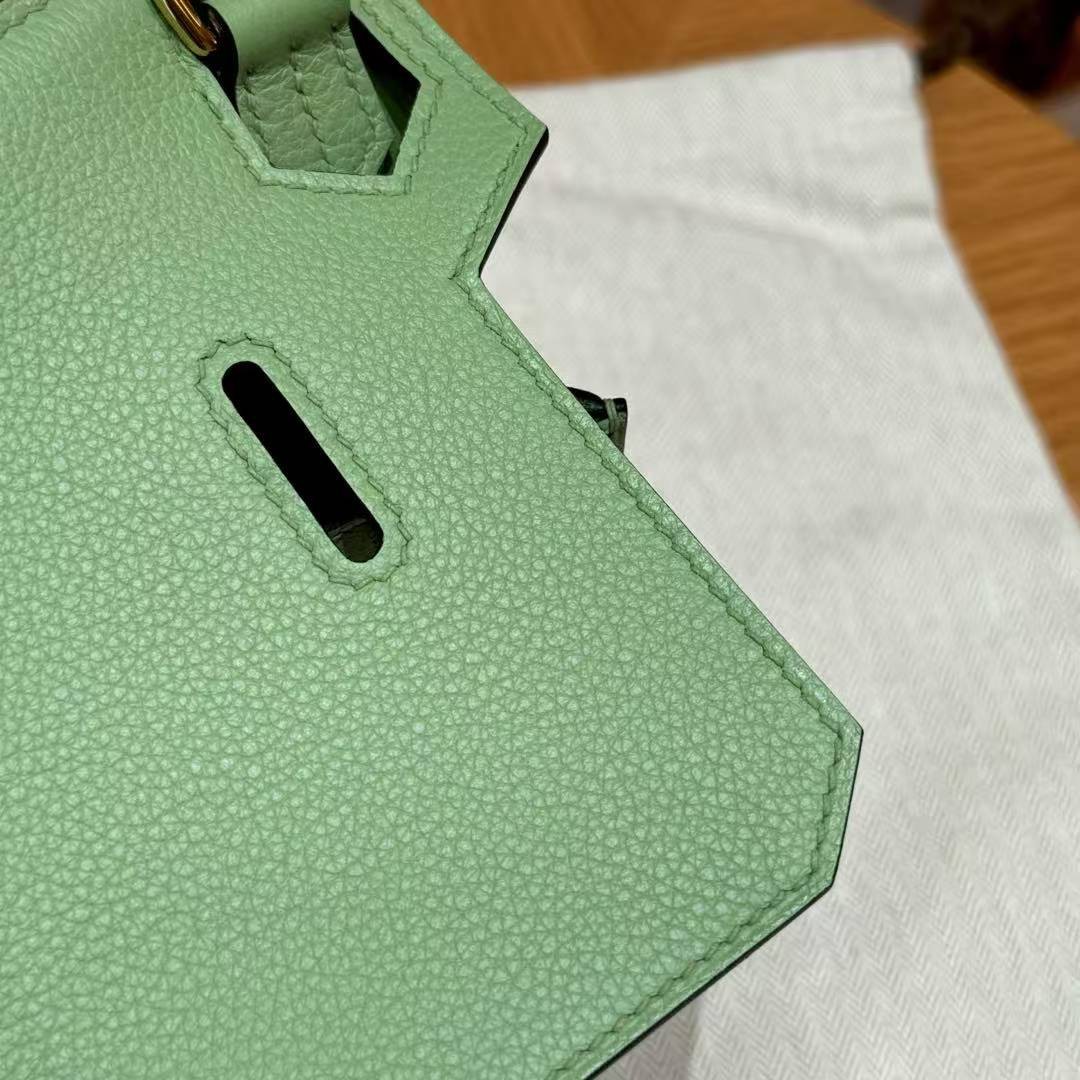 Hermes Jypsiere Mini 23 Bag Handmade In Evercolor Calfskin Leather Gold Hardware 3i Vert Criquent - Image 14