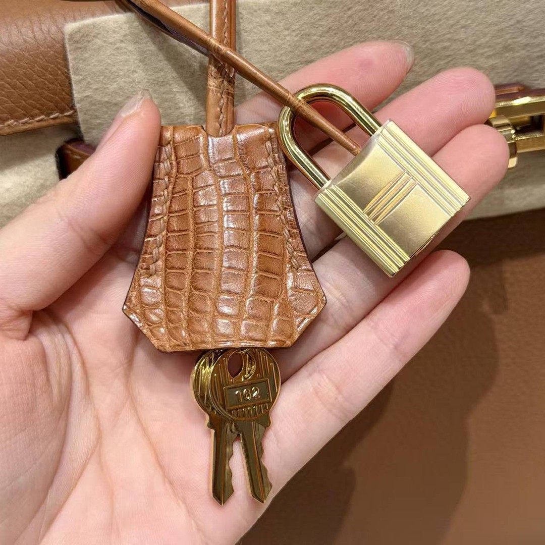 Hermes Kelly 25 Bag Handmade In Togo Calfskin Leather and Alligator from Mississippi Gold Hardware 37 Gold - Image 6