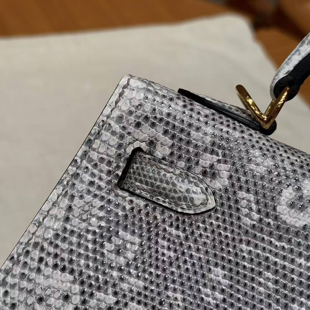 Hermes Kelly 25 Bag Handmade In Lizard Leather From South Africa Gold Hardware 1B Ombre - Image 18