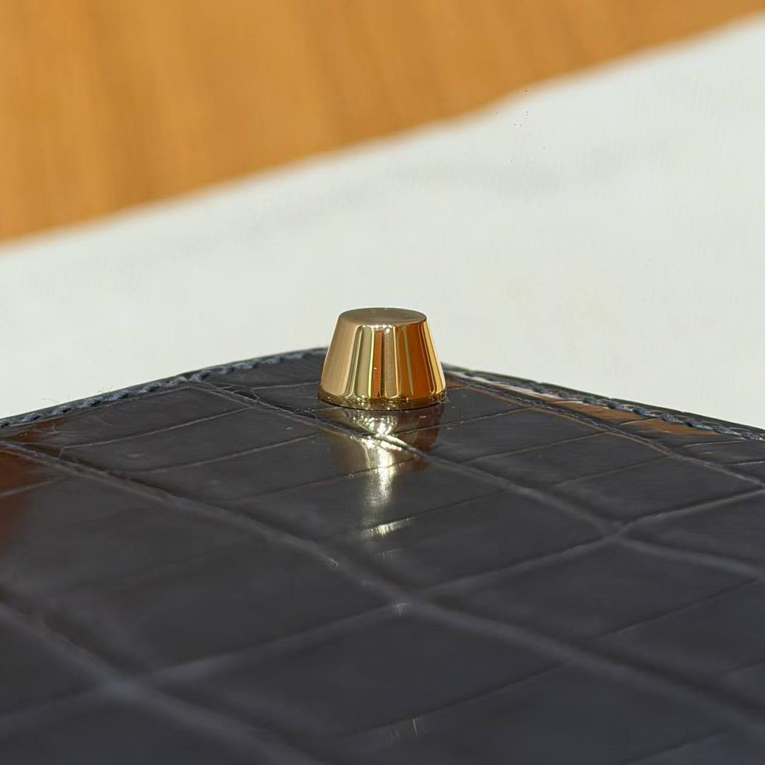 Hermes Kelly 25 Bag Handmade In Niloticus Leather from Nile Gold Hardware 88 Graphite - Image 5