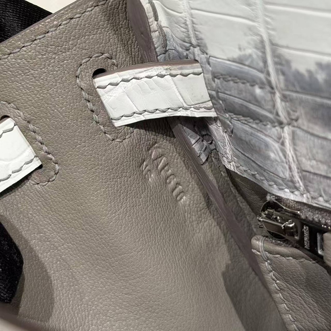 Hermes Kelly 25 Bag Handmade In Niloticus Leather from Nile Silver Hardware Himalaya - Image 24