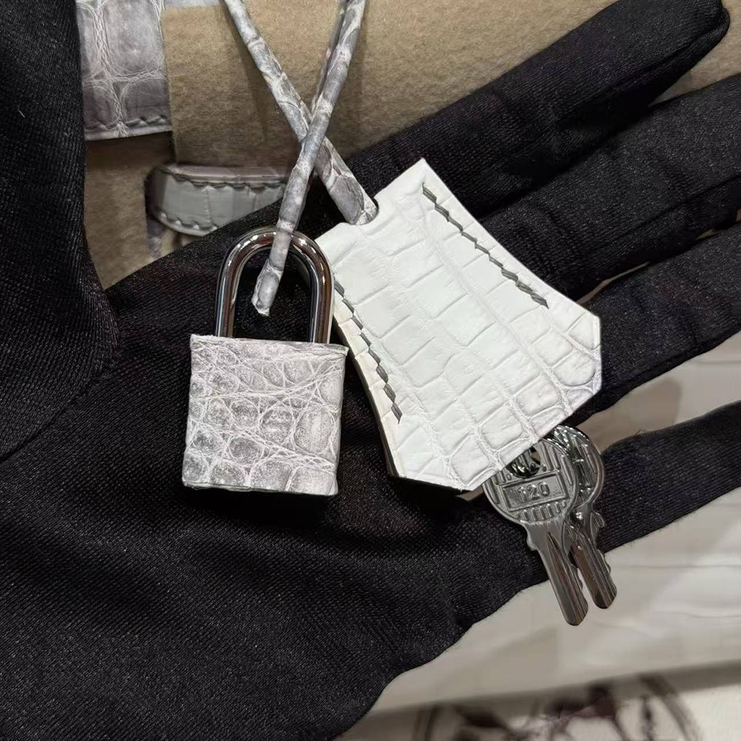 Hermes Kelly 25 Bag Handmade In Niloticus Leather from Nile Silver Hardware Himalaya - Image 23