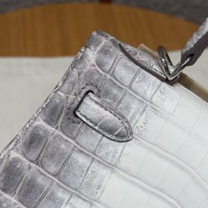 Hermes Kelly 25 Bag Handmade In Niloticus Leather from Nile Silver Hardware Himalaya - Image 18
