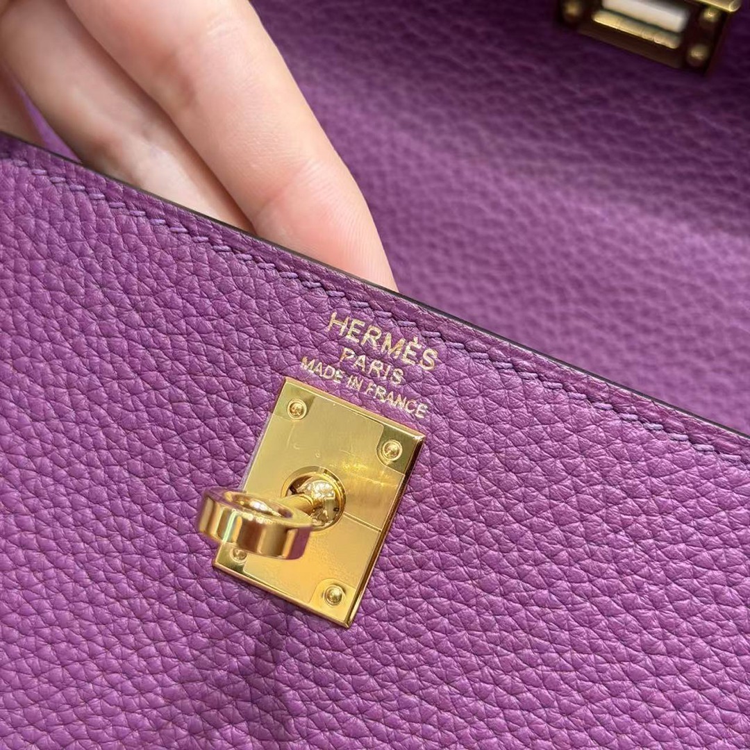 Hermes Kelly 25 Bag Handmade In Togo Calfskin Leather Gold Hardware P9 Anemone - Image 15