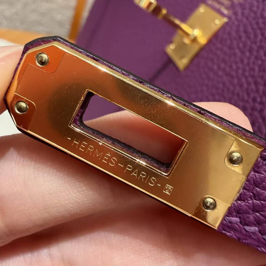 Hermes Kelly 25 Bag Handmade In Togo Calfskin Leather Gold Hardware P9 Anemone - Image 14