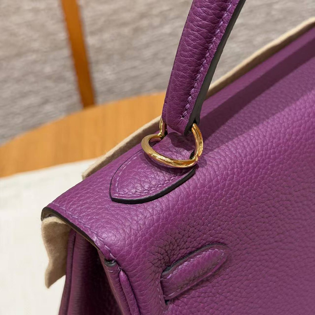 Hermes Kelly 25 Bag Handmade In Togo Calfskin Leather Gold Hardware P9 Anemone - Image 10