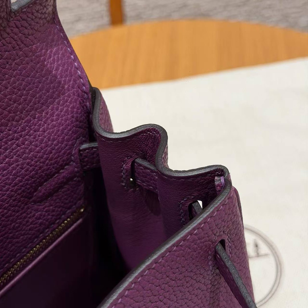 Hermes Kelly 25 Bag Handmade In Togo Calfskin Leather Gold Hardware P9 Anemone - Image 8