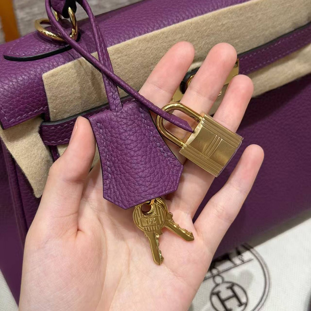 Hermes Kelly 25 Bag Handmade In Togo Calfskin Leather Gold Hardware P9 Anemone - Image 7