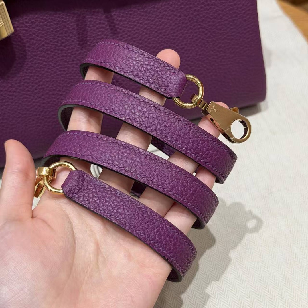 Hermes Kelly 25 Bag Handmade In Togo Calfskin Leather Gold Hardware P9 Anemone - Image 5