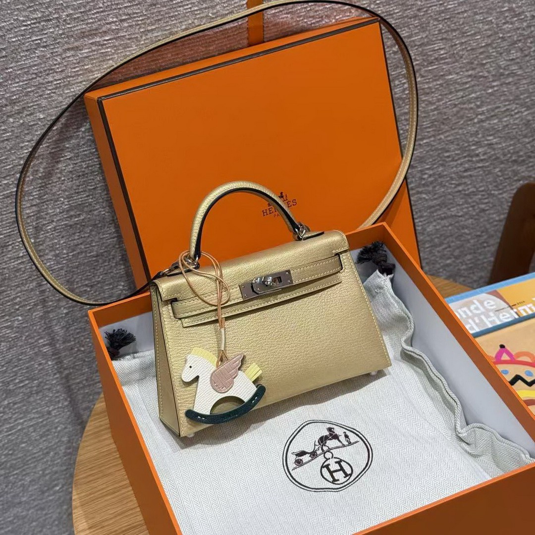 Hermes Kelly Mini 2 19 CM Bag Handmade In Chèvre Calfskin Leather Silver Hardware Y9 Dorè - Image 7
