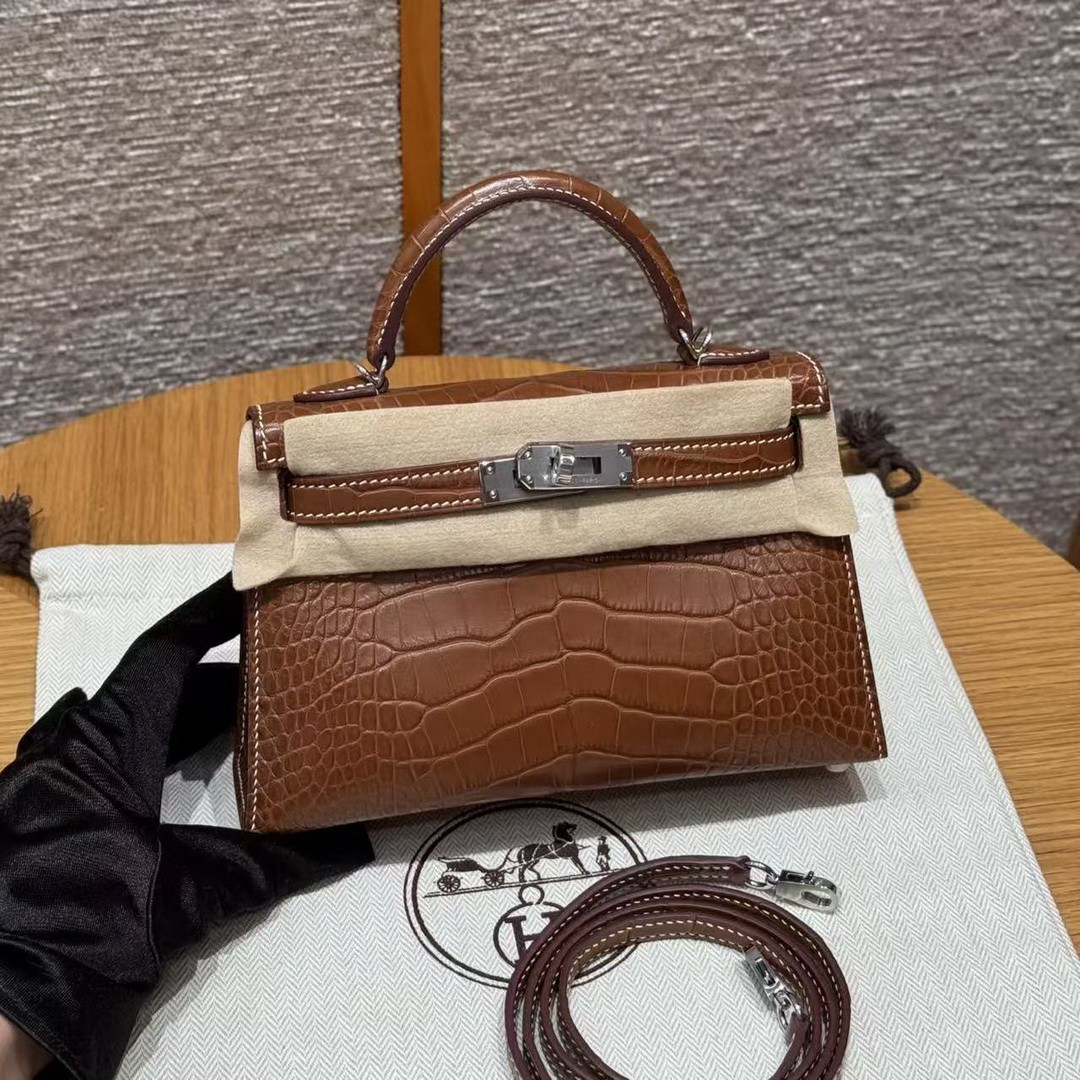 Hermes Kelly Mini 2 19CM Bag Handmade In Matte Alligator Leather from Mississippi Silver Hardware 37 Gold