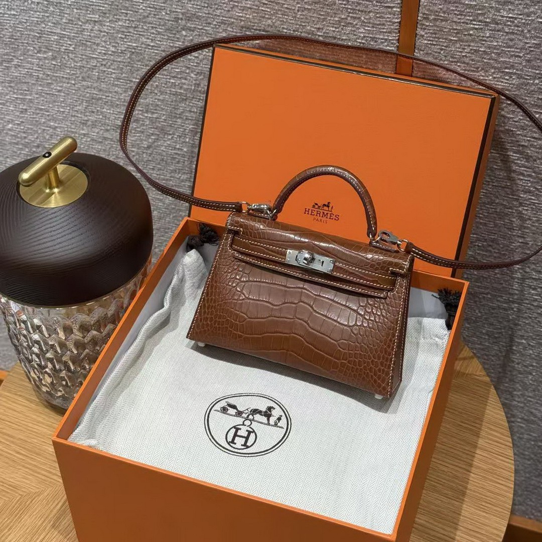 Hermes Kelly Mini 2 19CM Bag Handmade In Matte Alligator Leather from Mississippi Silver Hardware 37 Gold - Image 20