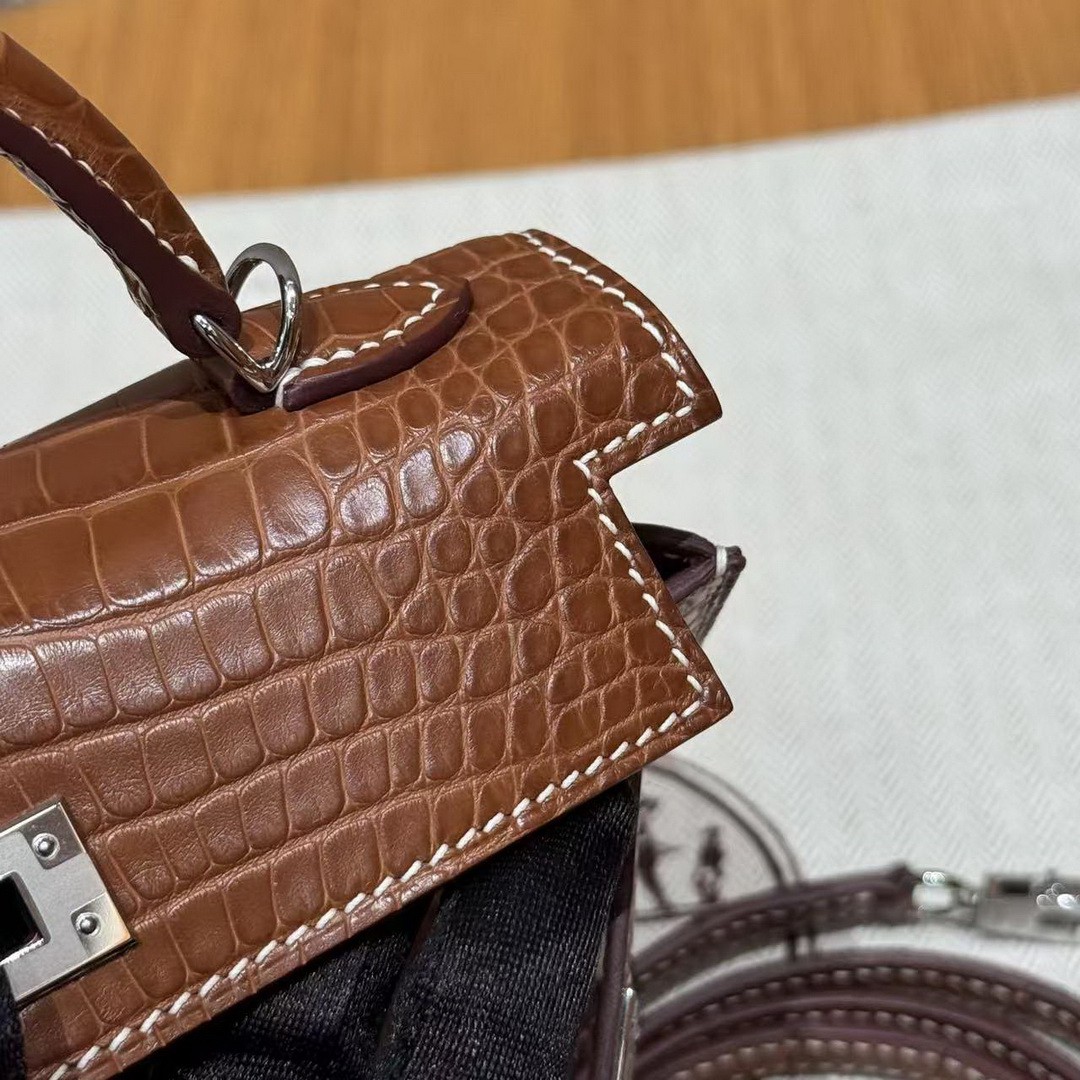 Hermes Kelly Mini 2 19CM Bag Handmade In Matte Alligator Leather from Mississippi Silver Hardware 37 Gold - Image 15