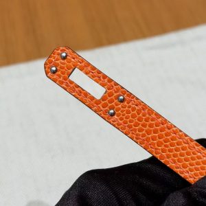 Hermes Kelly Mini 2 19CM Bag Handmade In Lizard Leather from South Africa Silver Hardware 93 Orange - Image 17