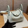 Hermes Lindy Mini 19 CM Bag Handmade In Swift Leather And Matte Alligator from Mississippi Gold Hardware OZ Vert Fizz 6w Menthe