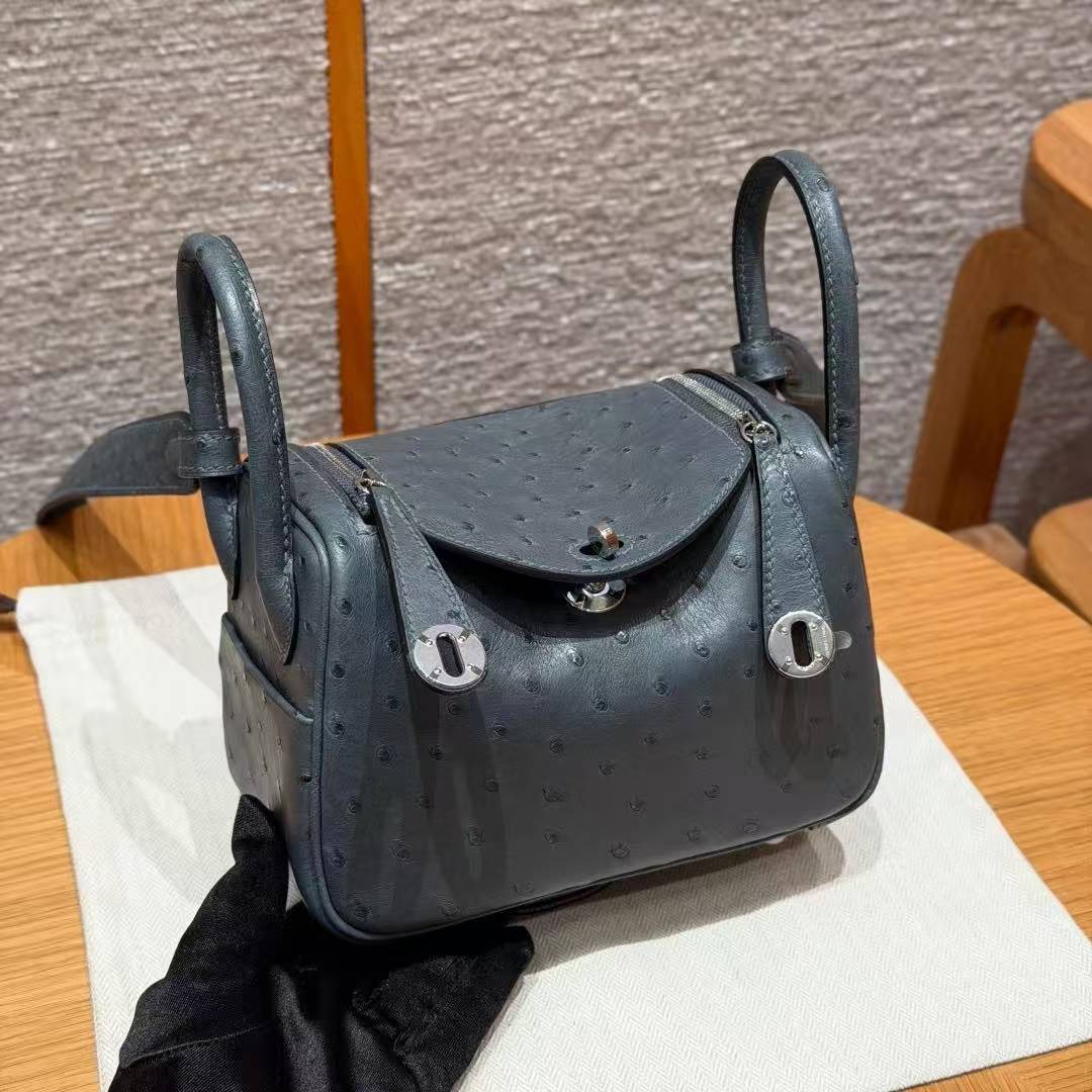 Hermes Lindy Mini 19 CM Bag Handmade In KK Ostrich Leather from South Africa Silver Hardware 0L Gris Meyer