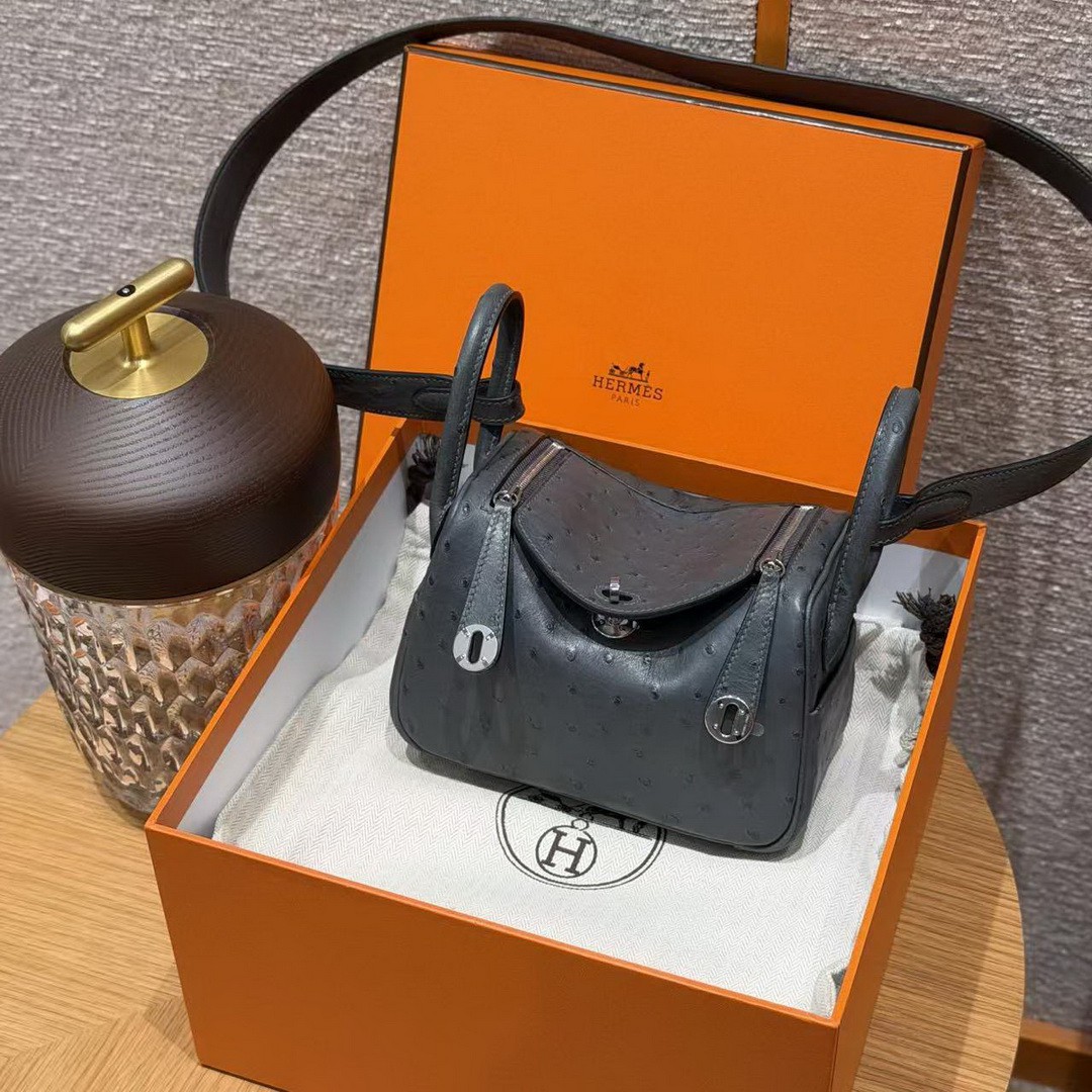 Hermes Lindy Mini 19 CM Bag Handmade In KK Ostrich Leather from South Africa Silver Hardware 0L Gris Meyer - Image 11