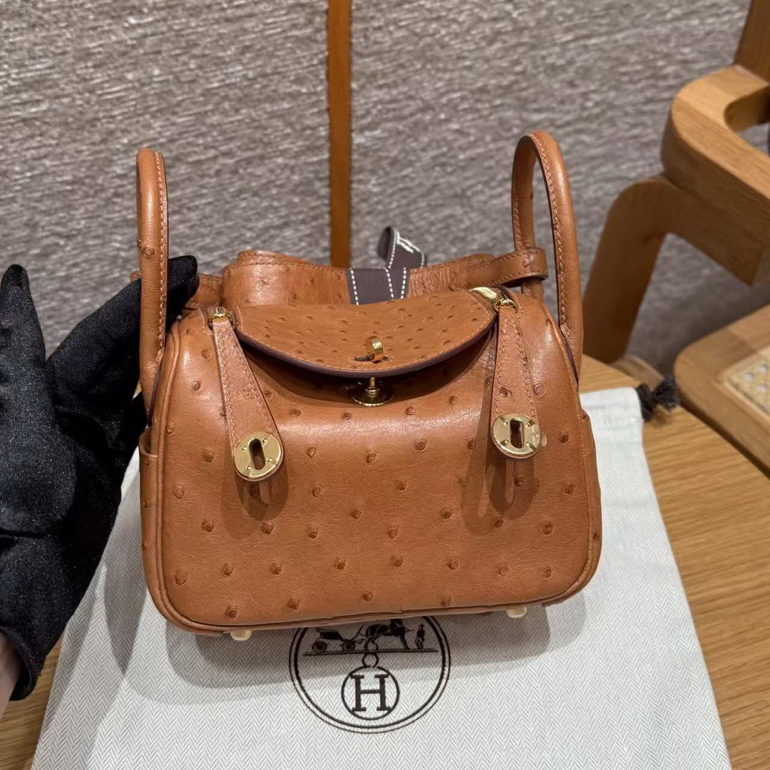Hermes Lindy Mini 19 CM Bag Handmade In KK Ostrich Leather from South Africa Gold Hardware 37 Gold