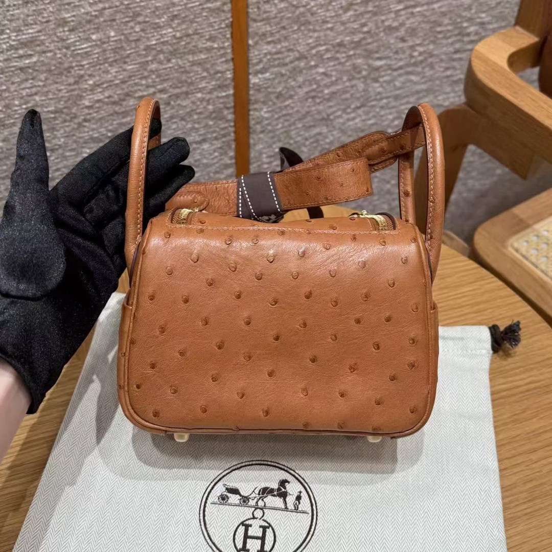Hermes Lindy Mini 19 CM Bag Handmade In KK Ostrich Leather from South Africa Gold Hardware 37 Gold - Image 2