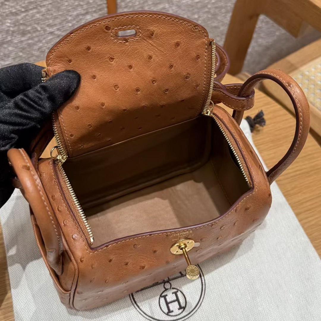 Hermes Lindy Mini 19 CM Bag Handmade In KK Ostrich Leather from South Africa Gold Hardware 37 Gold - Image 7