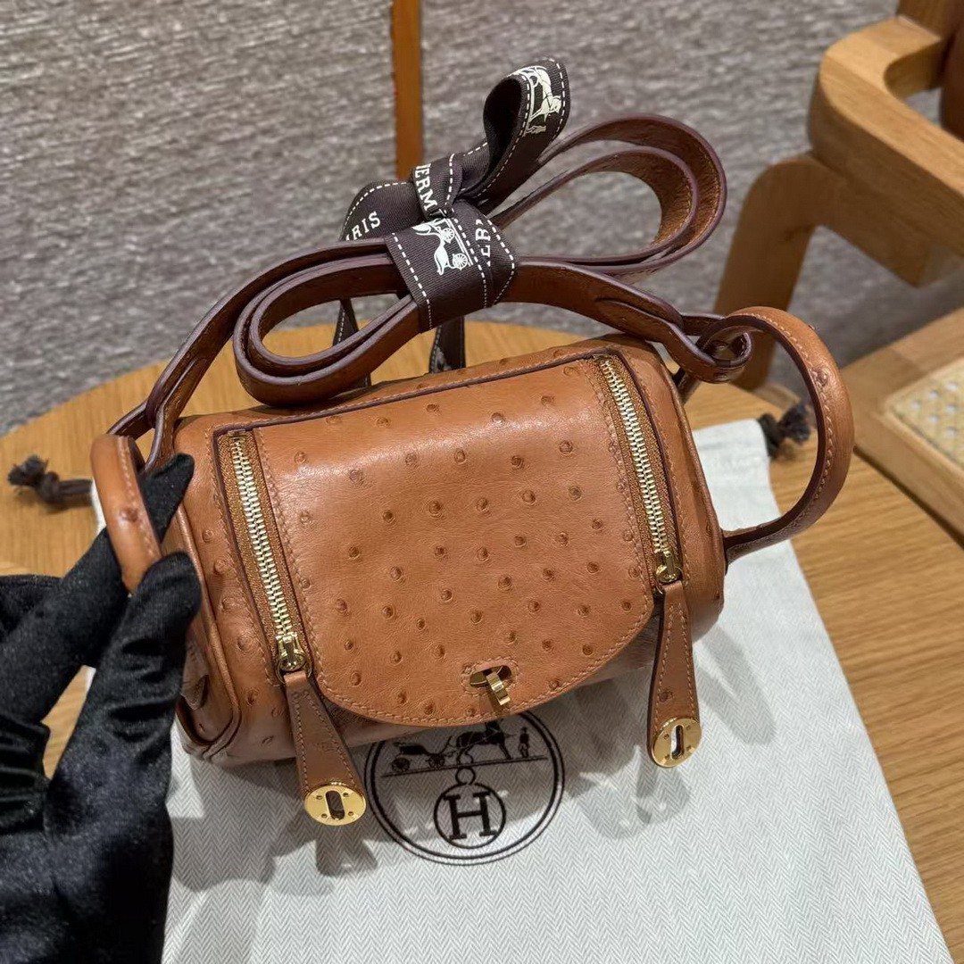 Hermes Lindy Mini 19 CM Bag Handmade In KK Ostrich Leather from South Africa Gold Hardware 37 Gold - Image 6