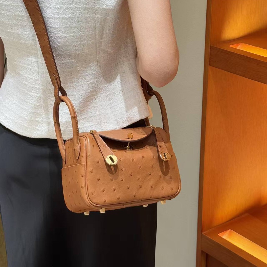 Hermes Lindy Mini 19 CM Bag Handmade In KK Ostrich Leather from South Africa Gold Hardware 37 Gold - Image 4