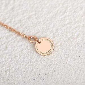 Hermes Amulettes Constance Pendant Necklace Rose Gold Noir H221354B 00 - Image 4