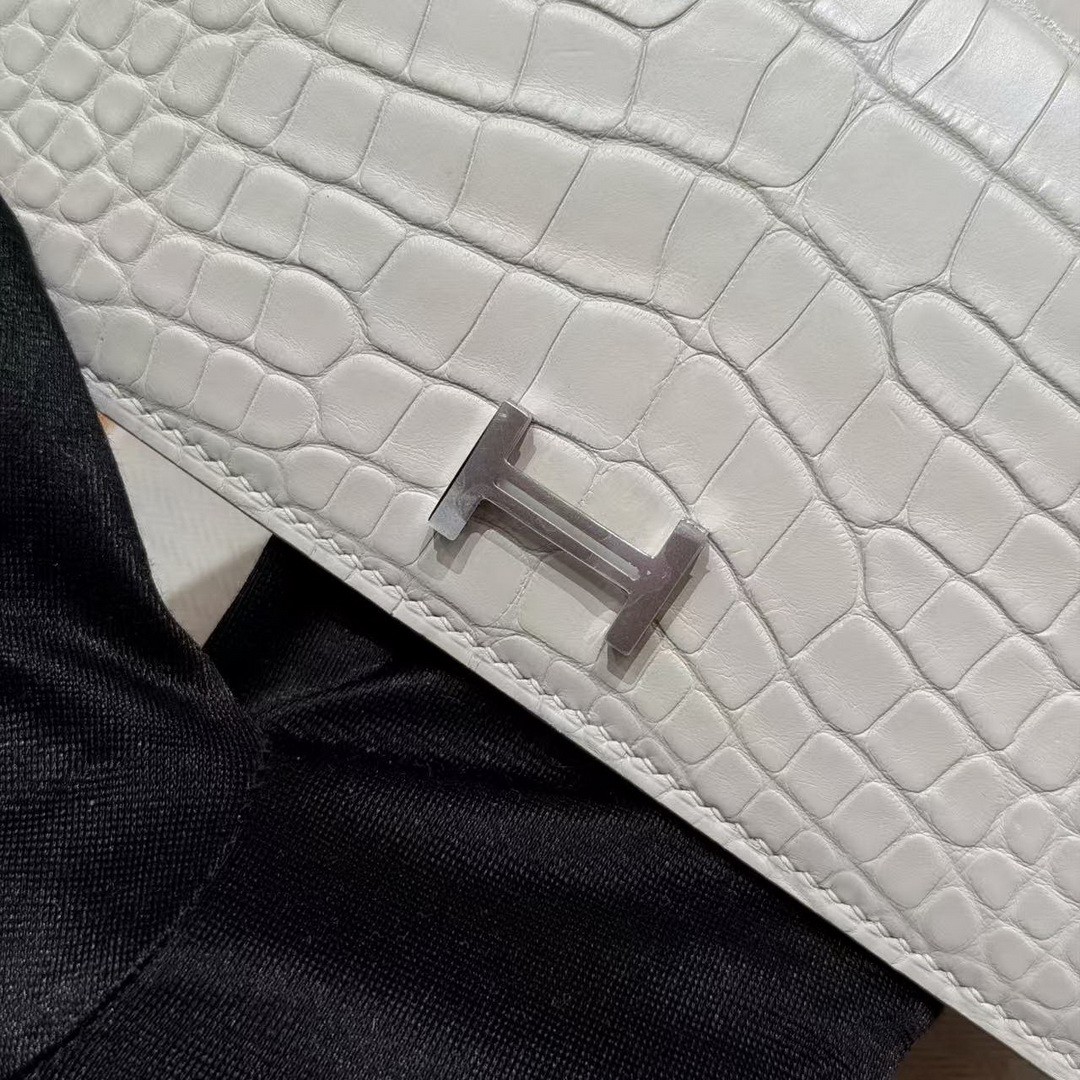 Hermes Bearn Wallet With Gusset Handmade In Alligator Leather Silver Hardware 8L Beton - Image 8