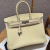 Hermes Birkin 35 Bag Handmade In Matte Alligator Leather Silver Hardware Y1 Vanille