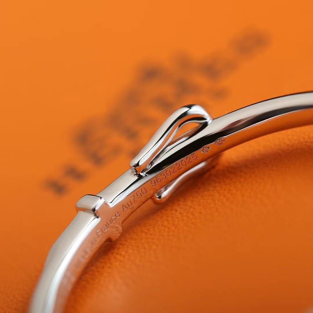 Hermes Etriviere Dangle Earrings White Gold H124505B 00 - Image 5