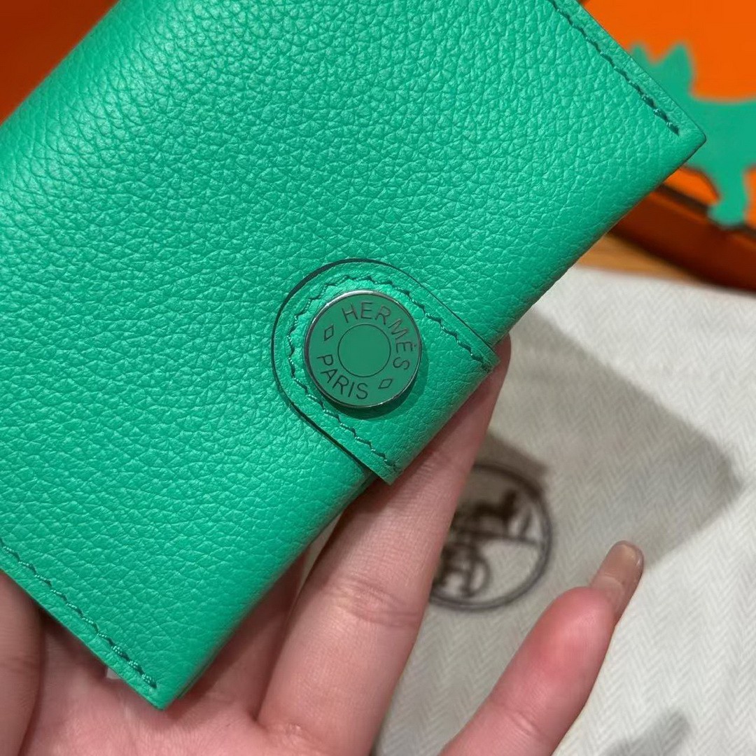 Hermes R.M.S. Card Holder Handmade In Evecolor Calfskin Leather Enamel Fittings Hardware 9D Jaune Ambre 0T Vert Comics - Image 11