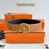 Hermes Tete de Cheval Belt Buckle & Reversible Leather Strap 38 mm Epsom Calfskin Palladium Buckle Silver Gold Noir
